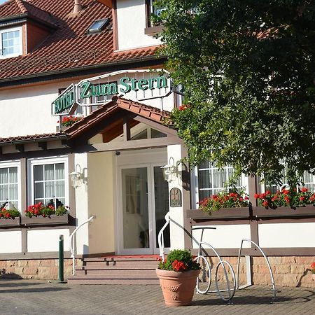 Parkhotel Zum Stern Oberaula Esterno foto