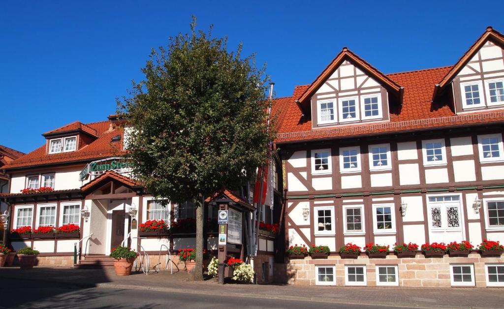 Parkhotel Zum Stern Oberaula Esterno foto
